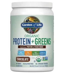 Garden of Life Organic Vegan Protein Greens Shake Chocolate