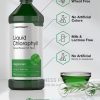 Liquid Chlorophyll 100mg Natural Peppermint Flavor Veg 473ml - Image 2