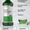Liquid Chlorophyll 100mg Natural Peppermint Flavor Veg 473ml