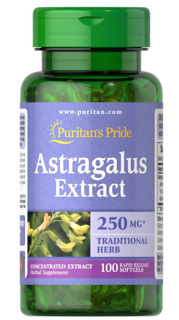 Astragalus Extract 1000mg 100s for Immune System Support WELLNESS PRO