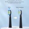 E11 Sonic Electric Toothbrush With 8 Bursh Heads Travel Case - Image 5