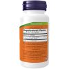 Elderberry (Sambucus Nigra) 500mg 60 Veg Capsules - Image 2