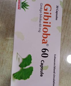 Gibiloba Ginkgo Biloba 60 mg 30 Veg Capsules Supports Brain Health*