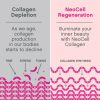 NeoCell Super Collagen Peptides, Grass-Fed Collagen Types 1 and 3, Unflavored, 5.3 Ounces 150g - Image 6
