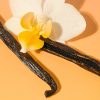 Evolution of smooth 100% natural Vanilla Bean Stick Lip Balm 4g - Image 3