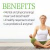 Garden of Life Raw B Complex - Vitamin Code - 60 Vegan Caps - Image 2