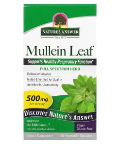 Nature's Answer, Mullein Leaf, 500 Mg, 90 Veg Capsules
