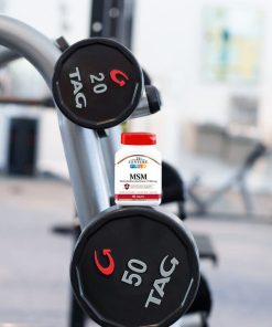 21st Century, MSM, 1,000 mg, 90 Tablets