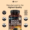 Shilajit, Sea Moss, Lion's Mane Capsules 2 Month Supply - Image 2